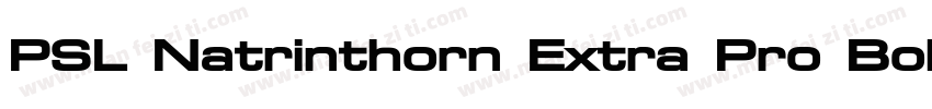 PSL Natrinthorn Extra Pro Bold Ital字体转换